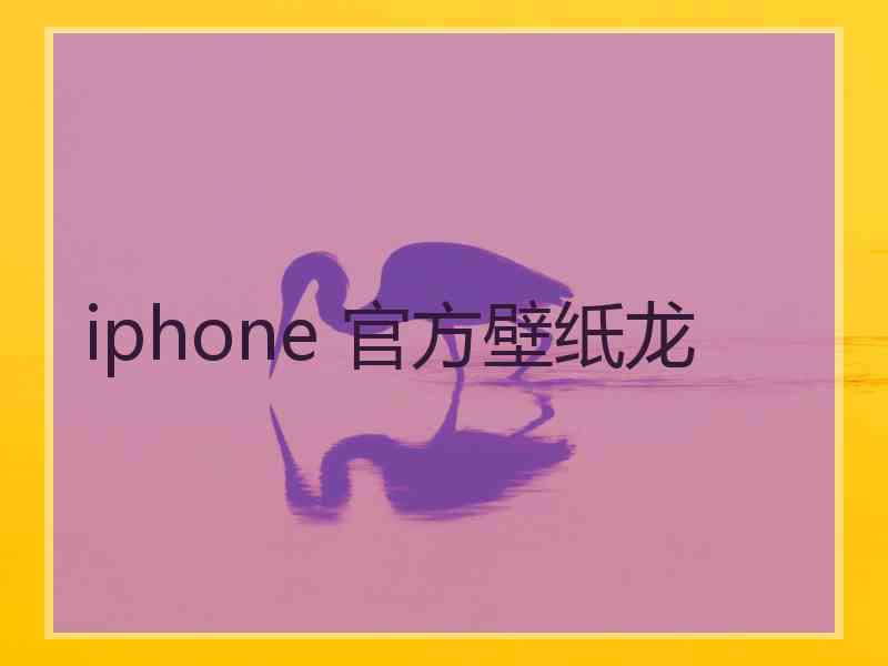 iphone 官方壁纸龙