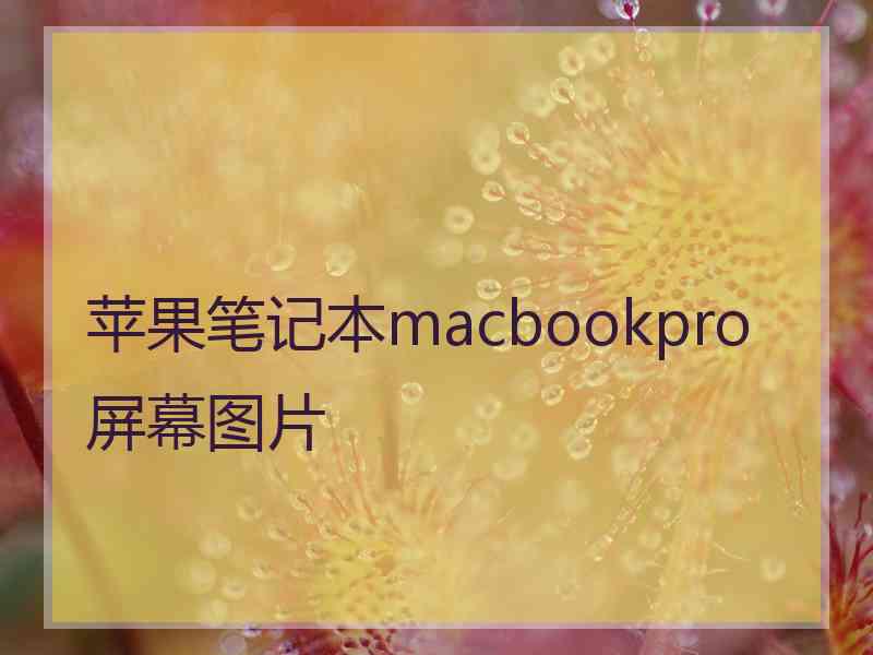 苹果笔记本macbookpro屏幕图片