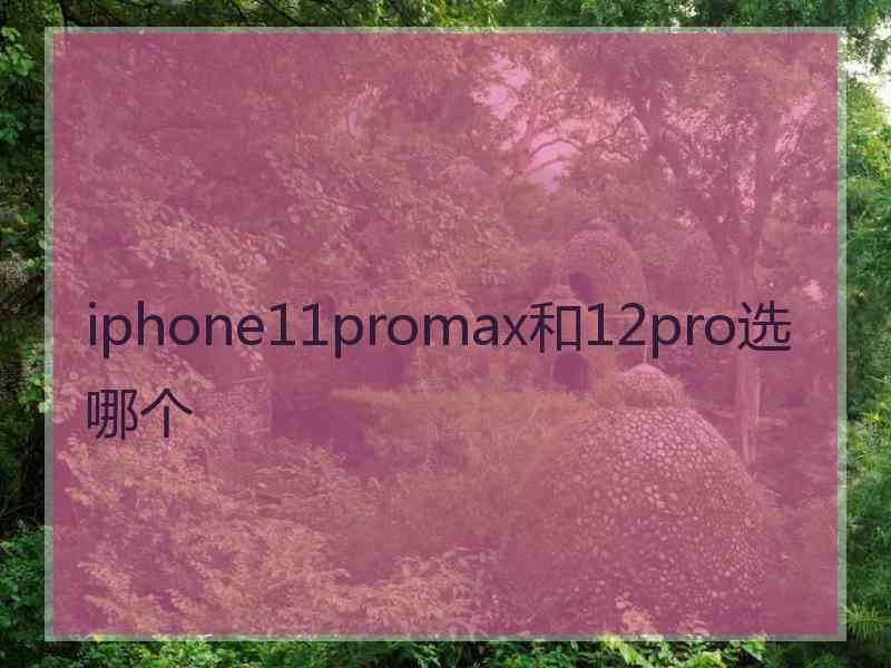 iphone11promax和12pro选哪个