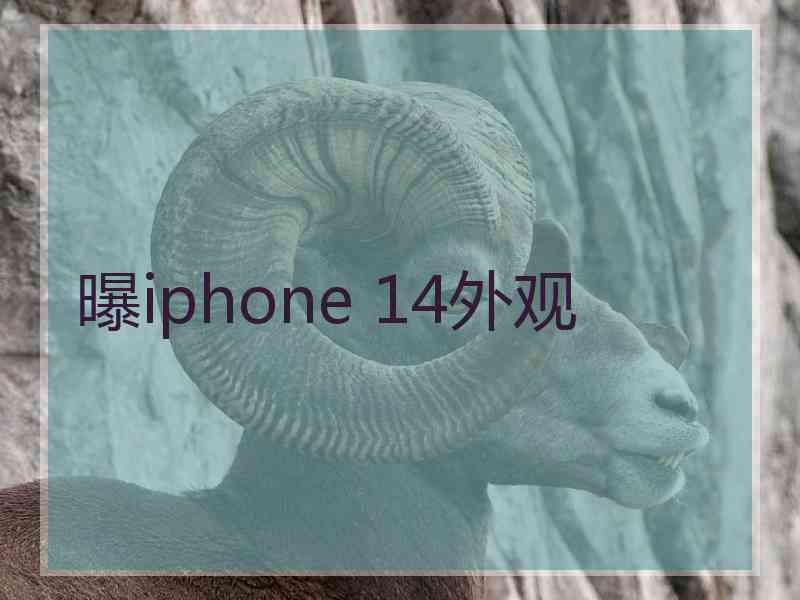 曝iphone 14外观