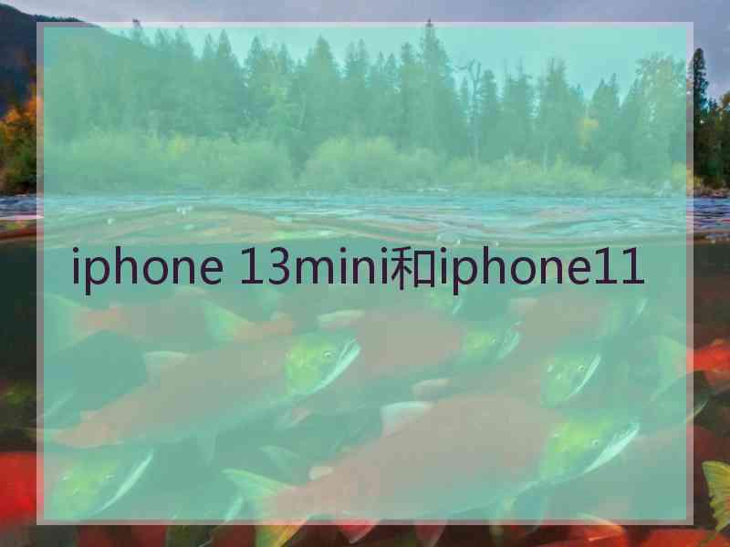 iphone 13mini和iphone11