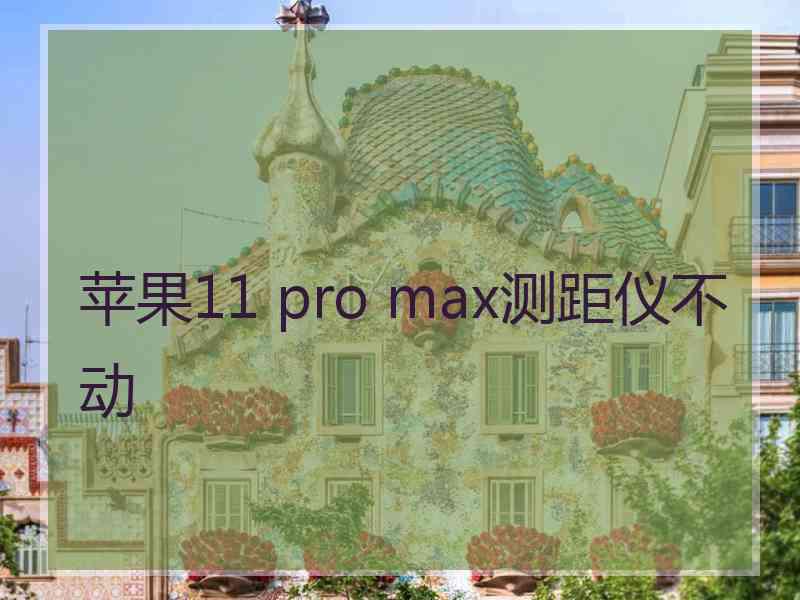 苹果11 pro max测距仪不动