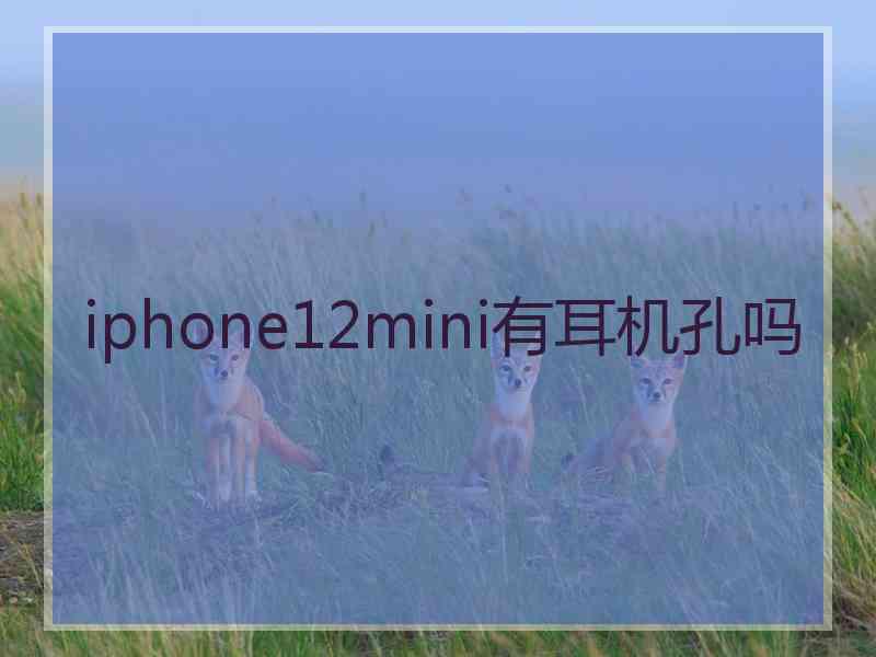 iphone12mini有耳机孔吗