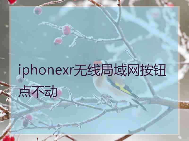 iphonexr无线局域网按钮点不动