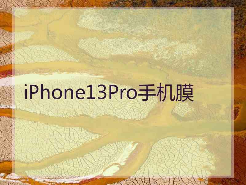 iPhone13Pro手机膜