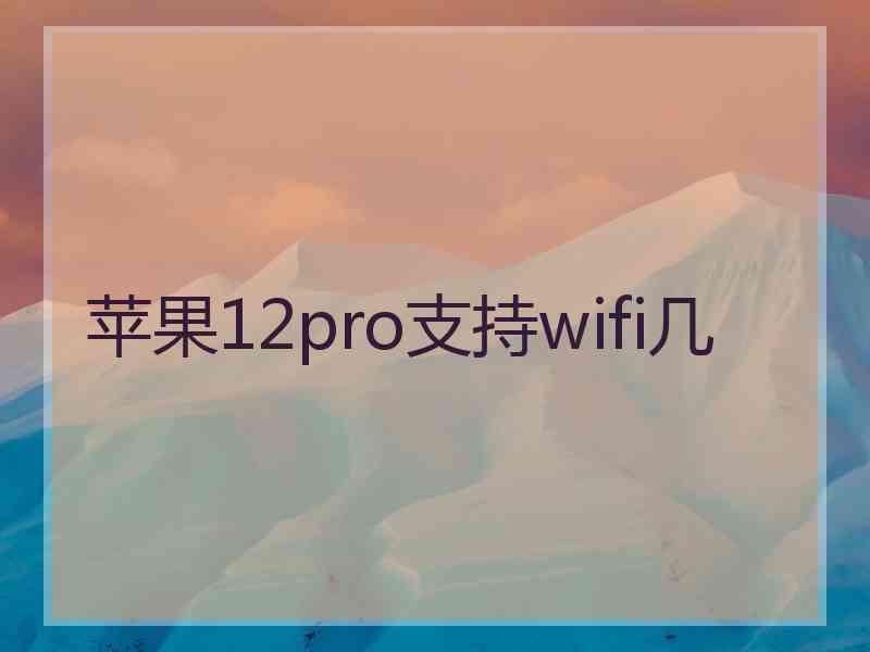 苹果12pro支持wifi几