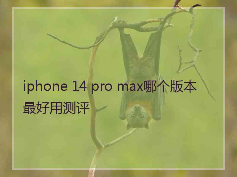 iphone 14 pro max哪个版本最好用测评