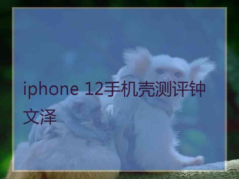 iphone 12手机壳测评钟文泽