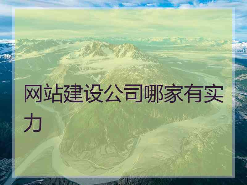 网站建设公司哪家有实力