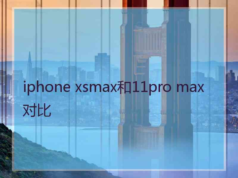 iphone xsmax和11pro max对比