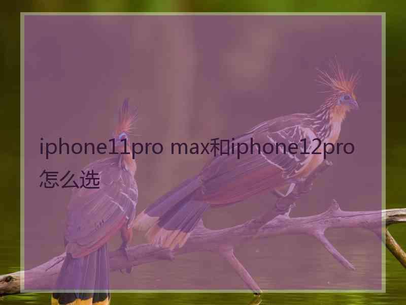 iphone11pro max和iphone12pro怎么选