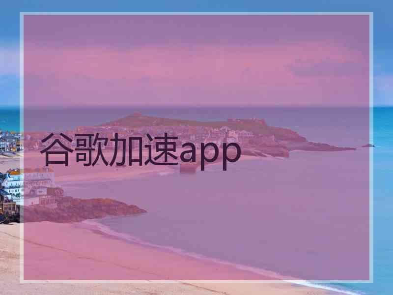 谷歌加速app