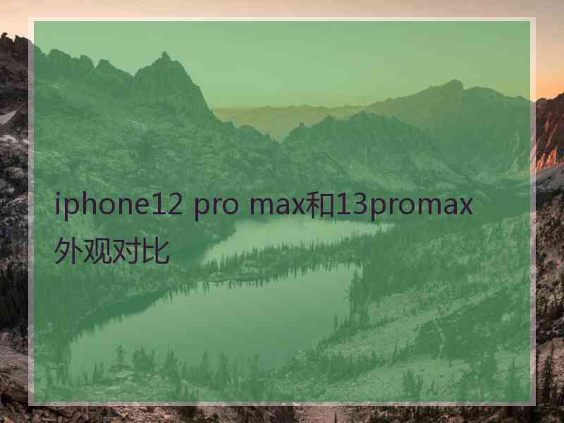 iphone12 pro max和13promax外观对比