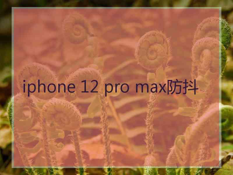 iphone 12 pro max防抖