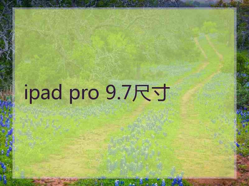 ipad pro 9.7尺寸