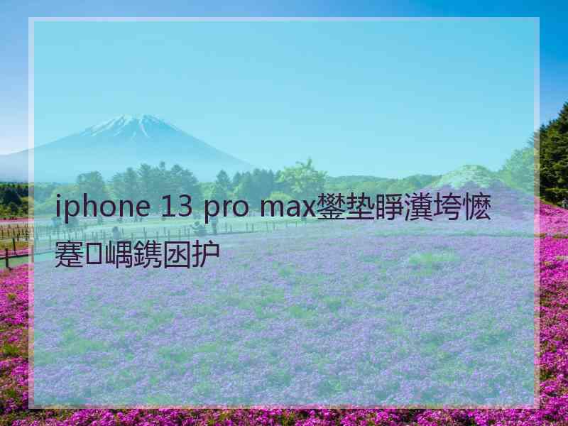 iphone 13 pro max鐢垫睜瀵垮懡蹇嵎鎸囦护