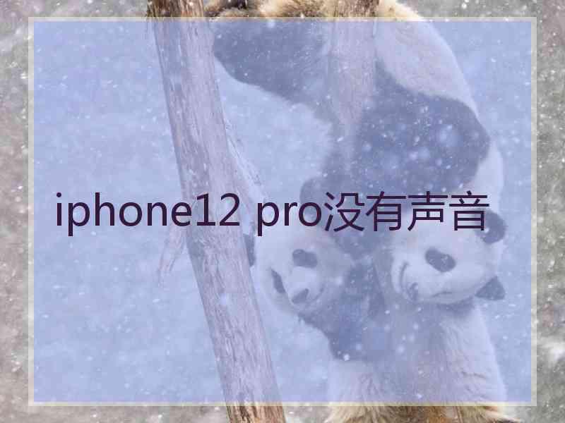 iphone12 pro没有声音