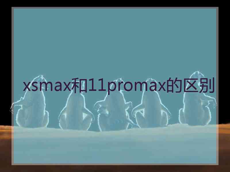 xsmax和11promax的区别