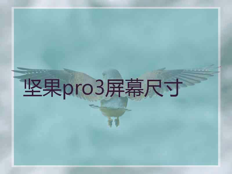 坚果pro3屏幕尺寸