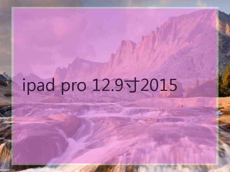 ipad pro 12.9寸2015