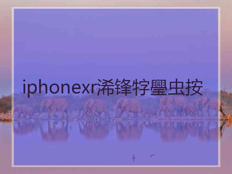 iphonexr浠锋牸璺虫按