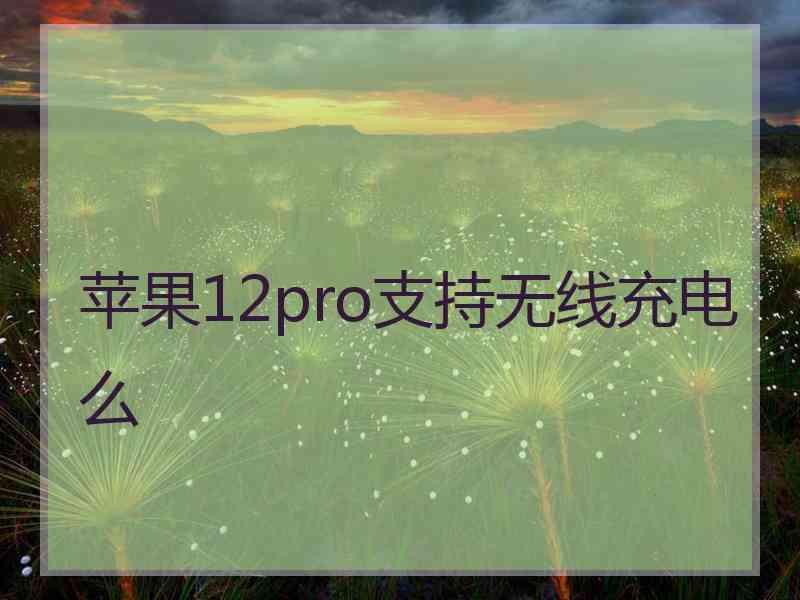 苹果12pro支持无线充电么