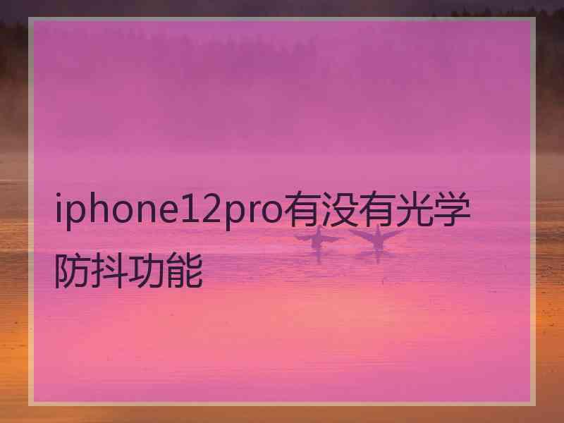 iphone12pro有没有光学防抖功能