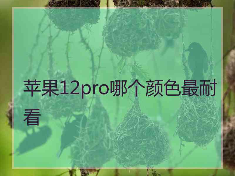 苹果12pro哪个颜色最耐看