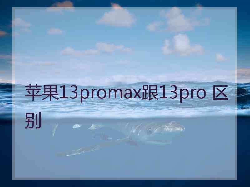 苹果13promax跟13pro 区别