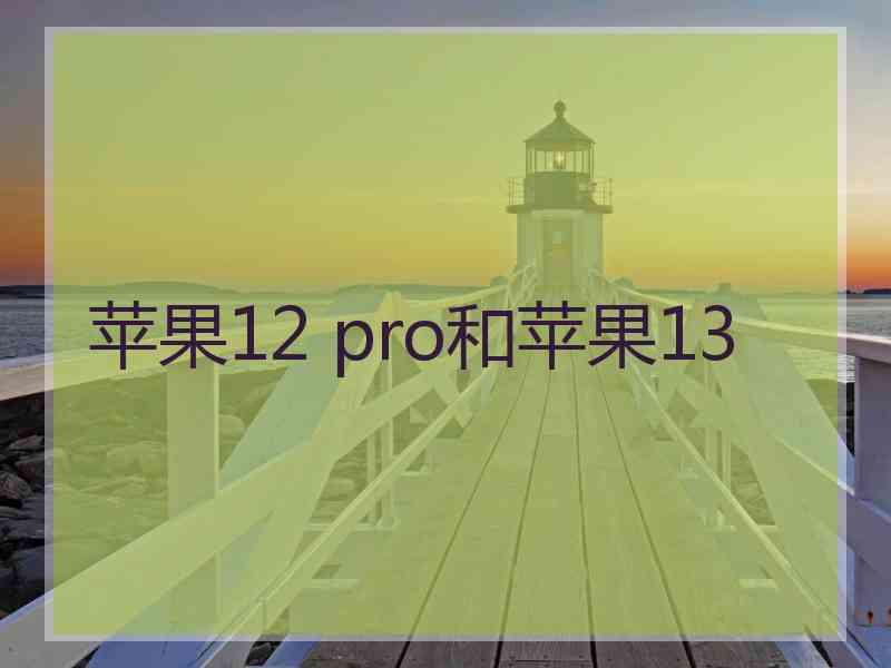 苹果12 pro和苹果13