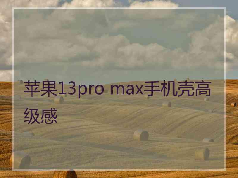 苹果13pro max手机壳高级感