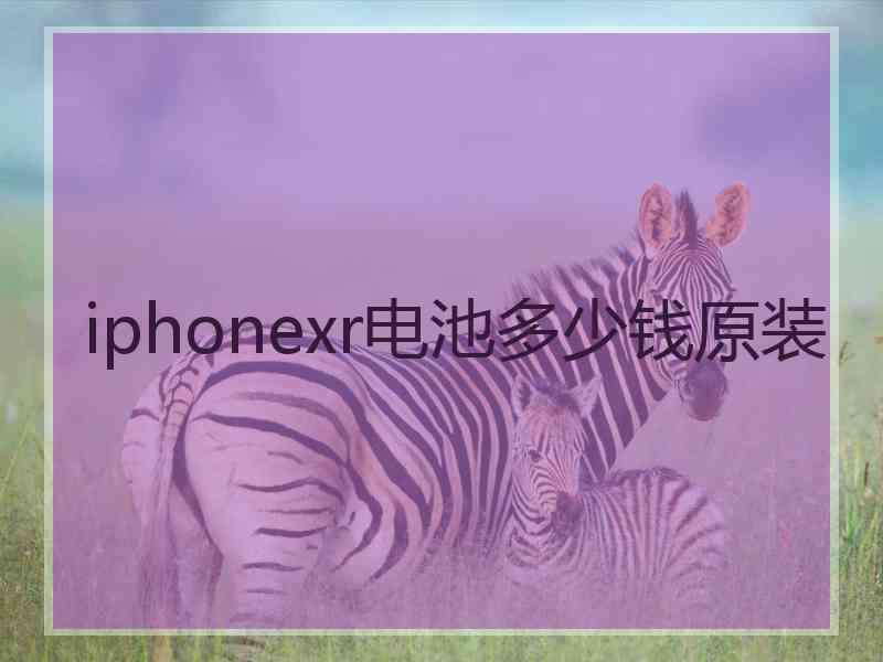 iphonexr电池多少钱原装