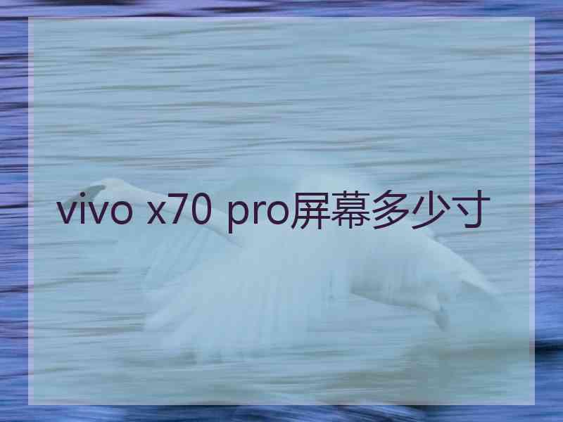 vivo x70 pro屏幕多少寸