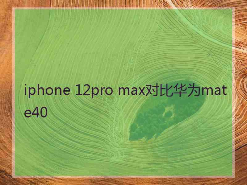 iphone 12pro max对比华为mate40