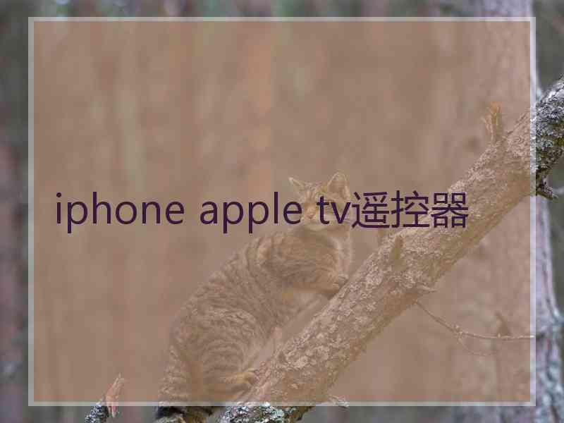 iphone apple tv遥控器