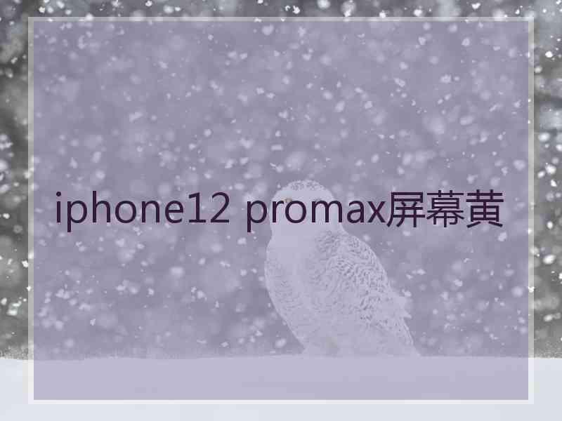 iphone12 promax屏幕黄