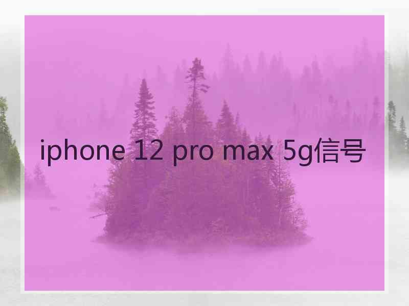 iphone 12 pro max 5g信号