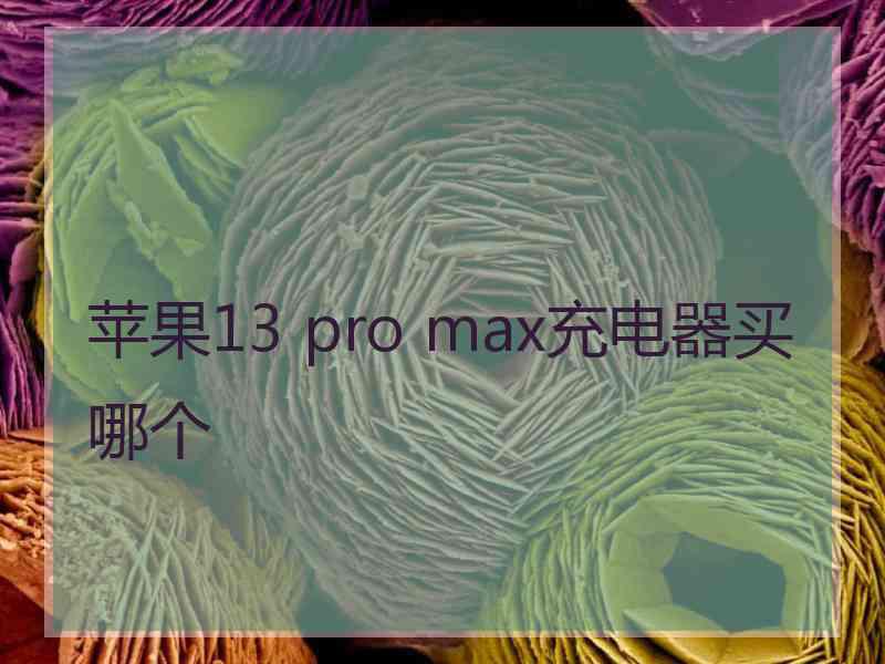 苹果13 pro max充电器买哪个