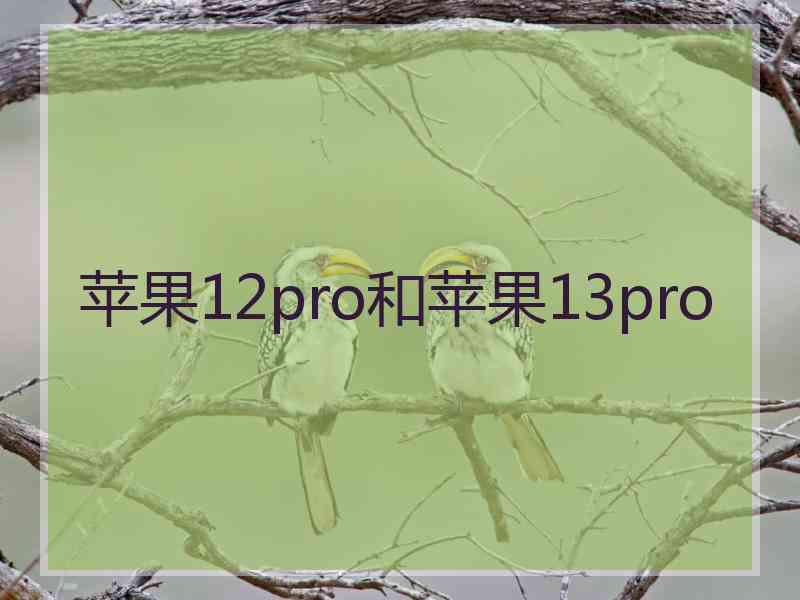 苹果12pro和苹果13pro