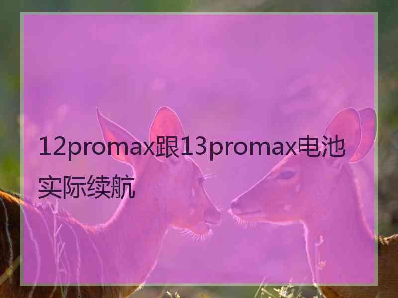 12promax跟13promax电池实际续航