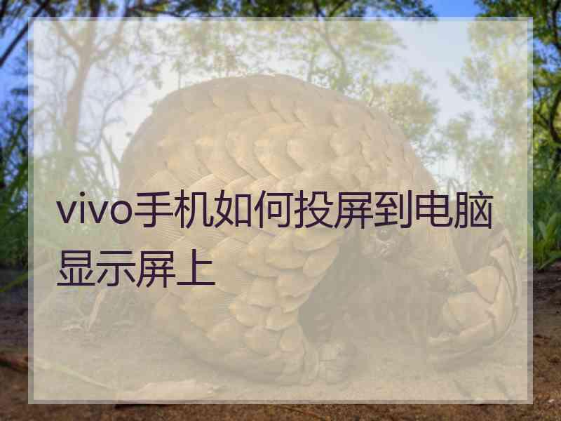 vivo手机如何投屏到电脑显示屏上