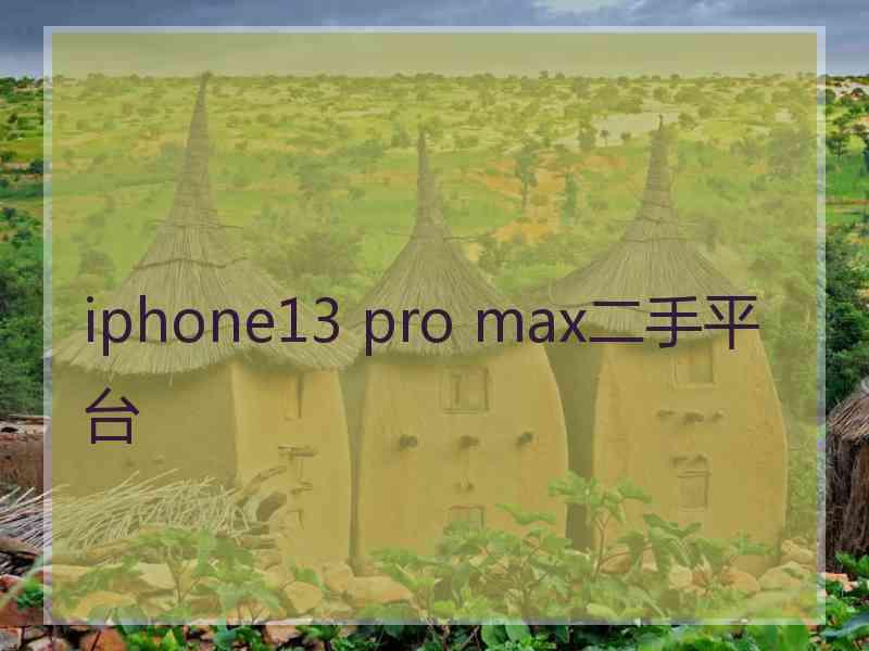 iphone13 pro max二手平台