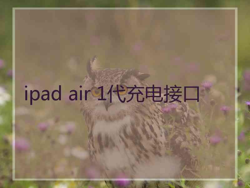 ipad air 1代充电接口