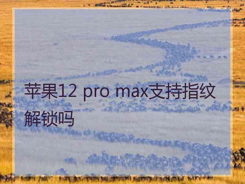 苹果12 pro max支持指纹解锁吗