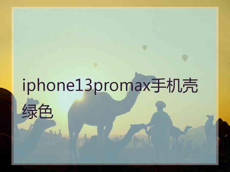 iphone13promax手机壳绿色