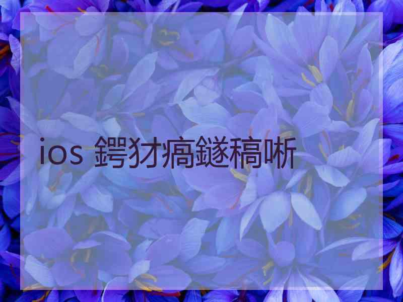 ios 鍔犲瘑鐩稿唽