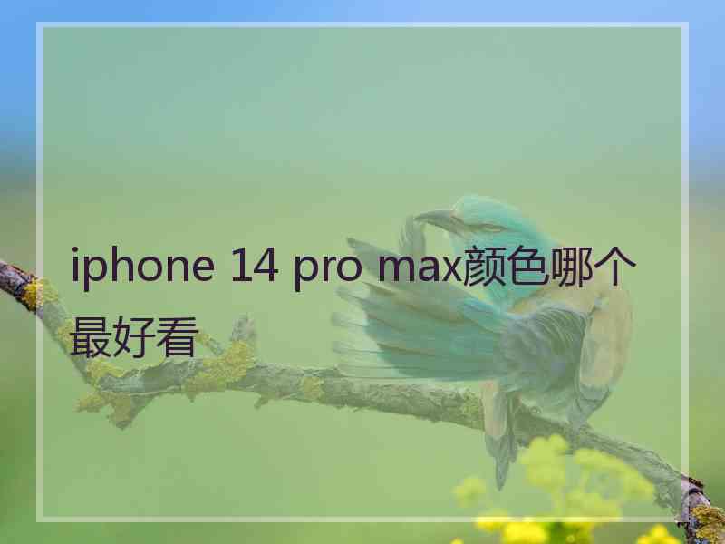 iphone 14 pro max颜色哪个最好看