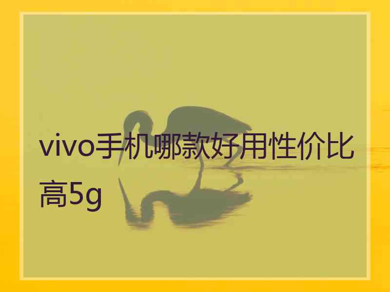 vivo手机哪款好用性价比高5g