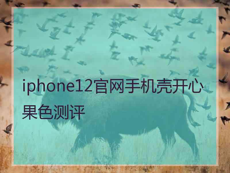 iphone12官网手机壳开心果色测评