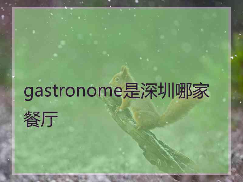 gastronome是深圳哪家餐厅